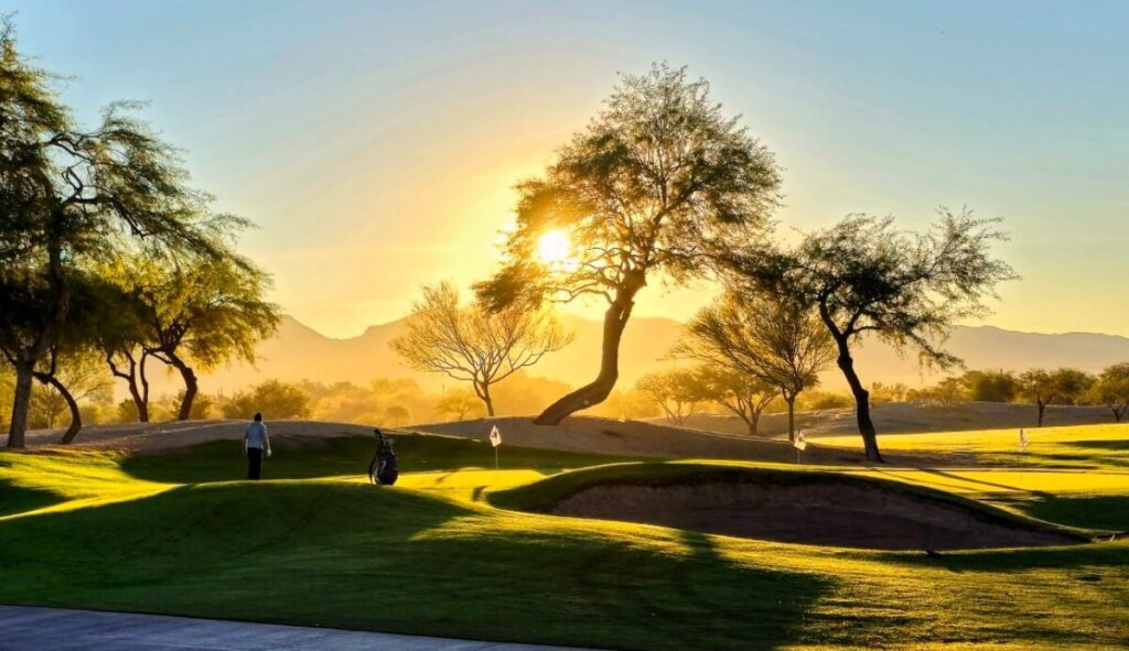 Aguila - 18 Hole Championship Course 8440 S. 35th Ave.​
(Located on 35th Ave. south of Baseline Rd.) 
Tee Time Line: 602-534-GOLF
Open daily, year round. Please call for seasonal times.​